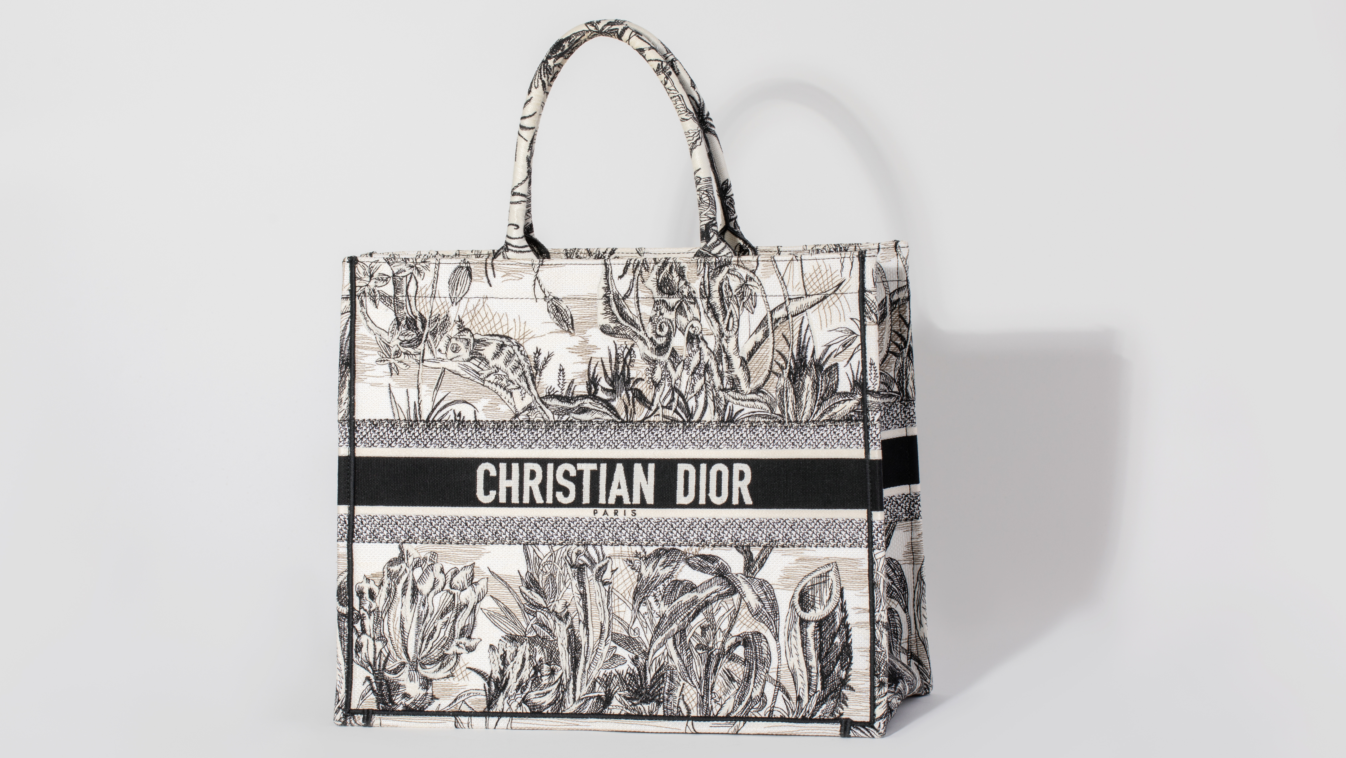 black and white Dior book tote