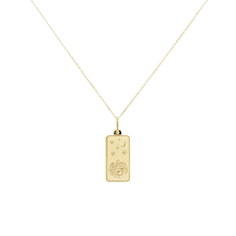 Capricorn Zodiac Dog Tag Necklace in 14K Yellow Gold